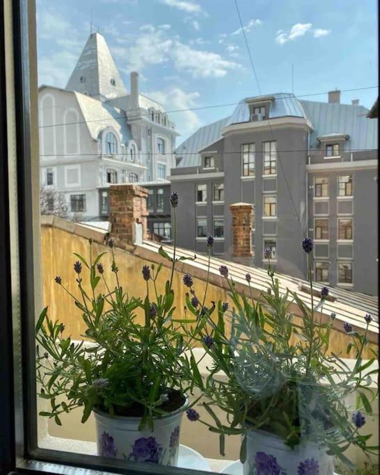 Apartment Designer Signature 2 Bdr Cismigiu Park 80sqm Bucharest